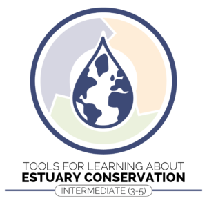 Estuary Conservation